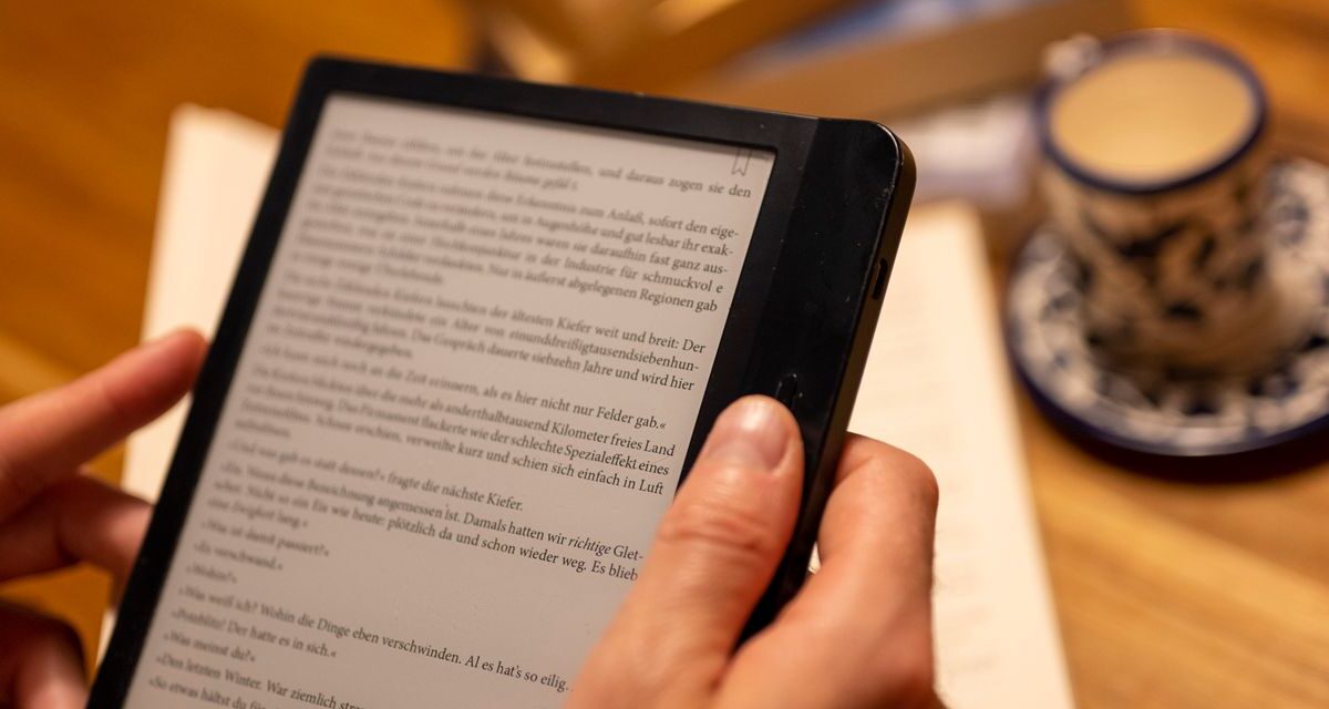 Publishers Win Ruling Against Online Library’s Lending of Digital Books