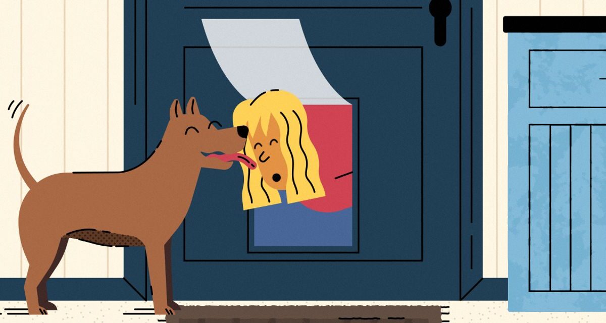 ‘I Went Through the Doggy Door.’ When Real-Estate Pros Get Locked Out of Listings