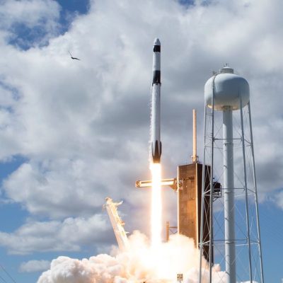Elon Musk's SpaceX Now Has a 'De Facto' Monopoly on Rocket Launches