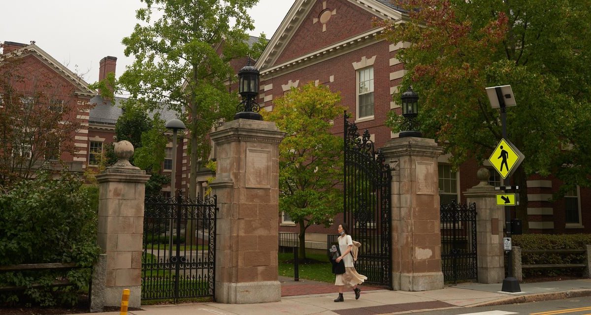 How Ivy League Schools Tilt Your Odds in the Lottery of Life