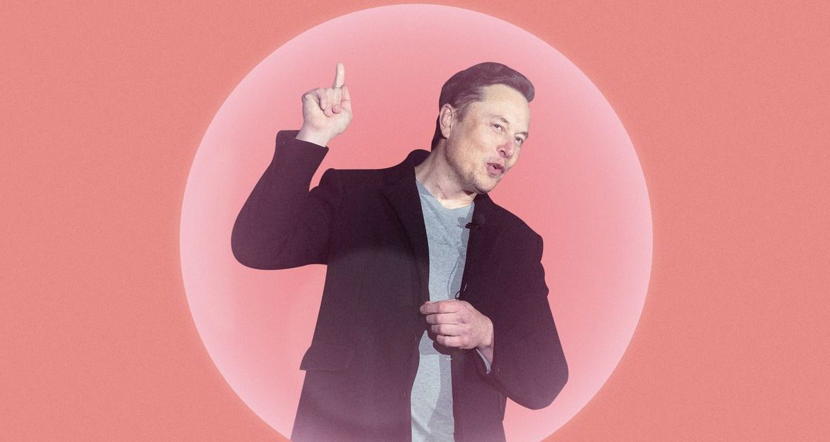 Elon Musk's Latest Antics Have Some Asking: Is He Out of Touch?